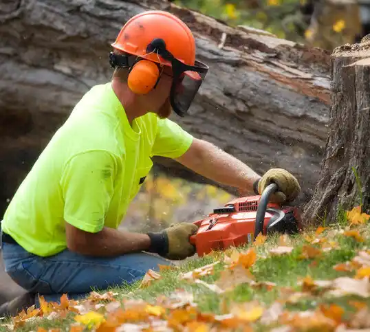 tree services Tuckahoe